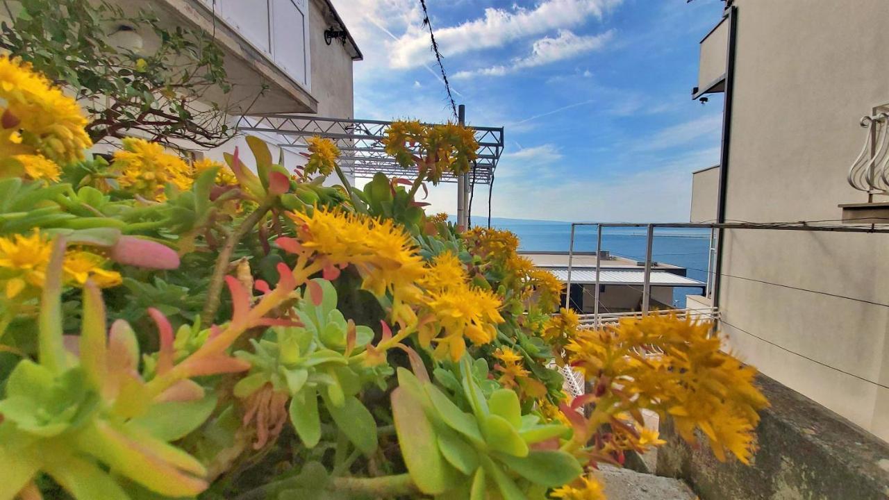 Apartment Cedo Omis Exterior photo