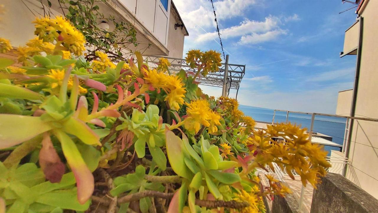 Apartment Cedo Omis Exterior photo