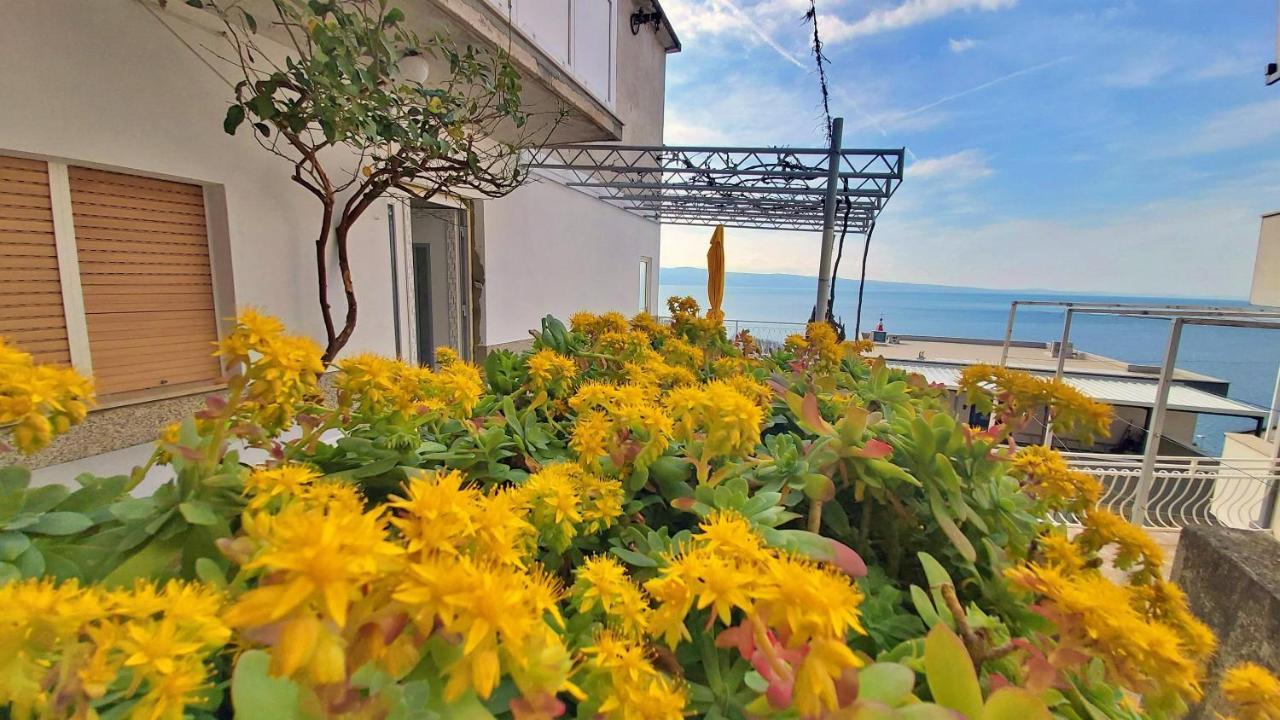 Apartment Cedo Omis Exterior photo